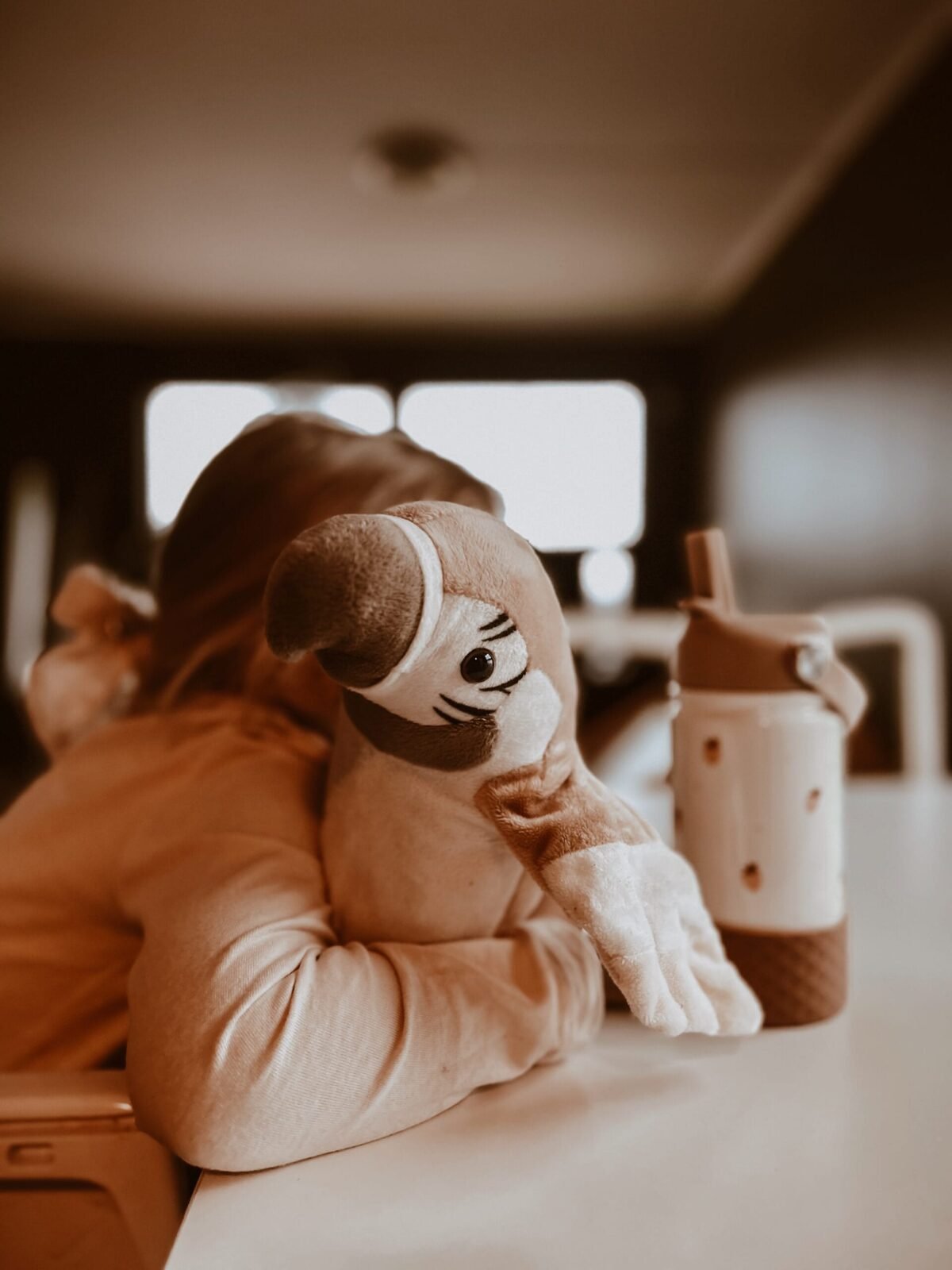 Mrs.ERTHA kalbanti papūgėlė Pierre - Image 4