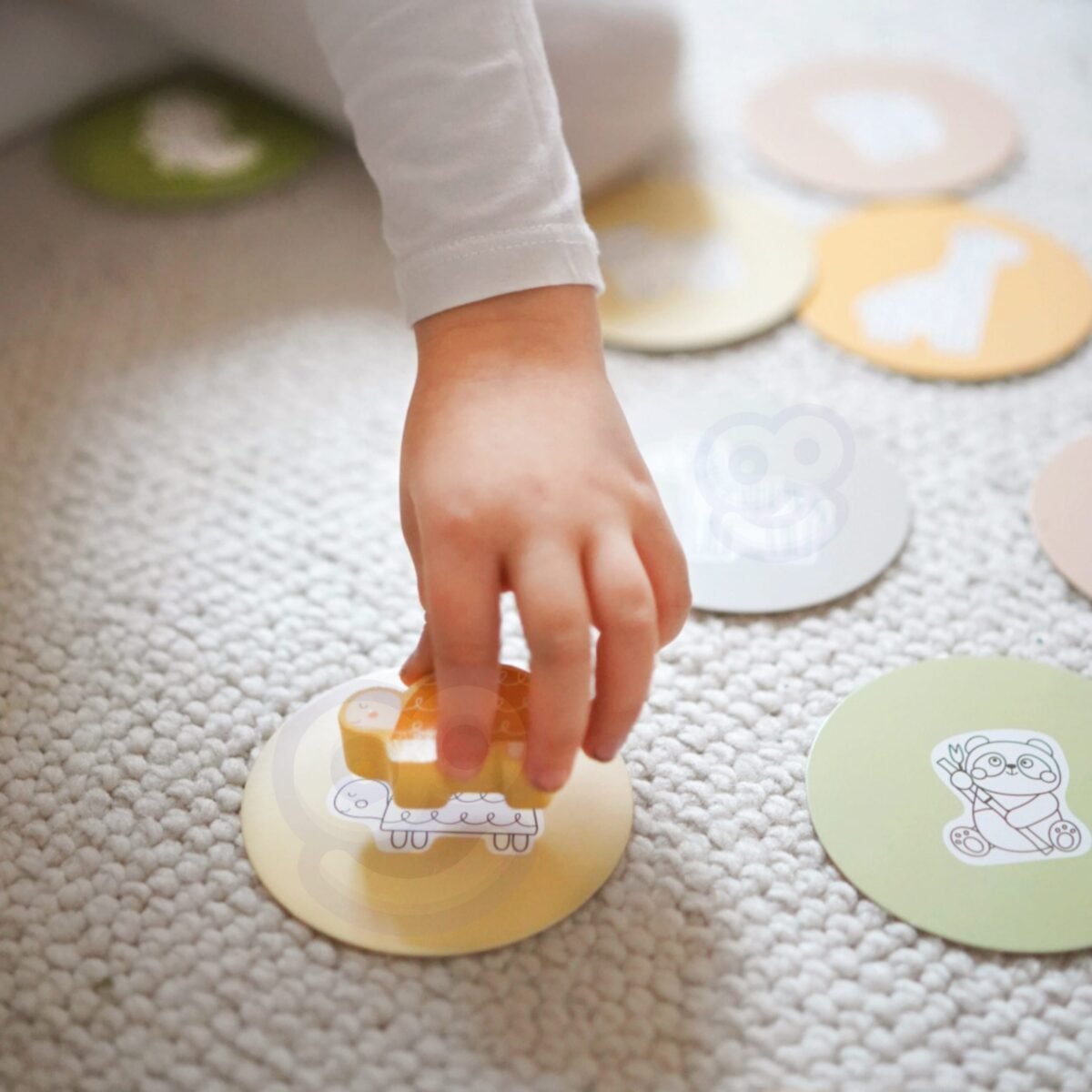 WOOPIE GREEN medinis žaidimas - Paliesk ir suderink - Image 7